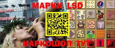 прущие грибы Будённовск