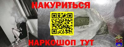 прущие грибы Будённовск