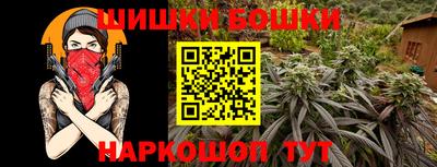 прущие грибы Будённовск