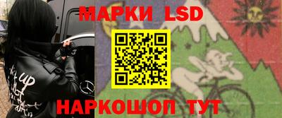 прущие грибы Будённовск