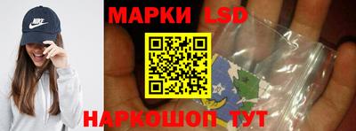 прущие грибы Будённовск