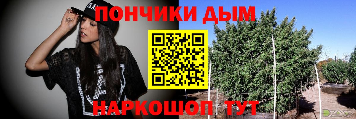 Бошки марихуана гибрид Кашира